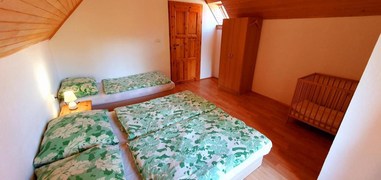 Vilka Cibulka A Chata Cesnacik Izipovce Exterior photo
